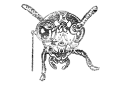 Badge Publish or Perish