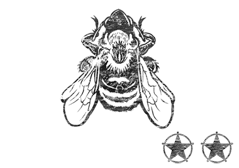 Badge Greybeard
